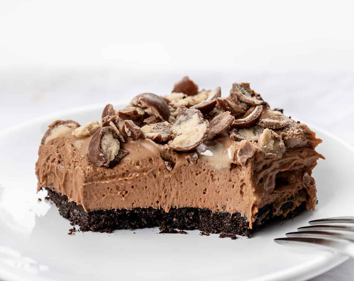 One Piece of Chocolate Malt Shoppe Bar on a Plate with a Bite Removed.